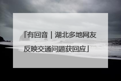 有回音｜湖北多地网友反映交通问题获回应