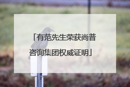 有范先生荣获尚普咨询集团权威证明