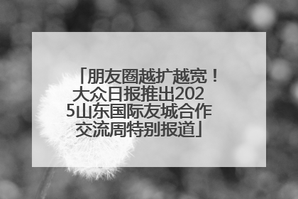朋友圈越扩越宽！大众日报推出2025山东国际友城合作交流周特别报道