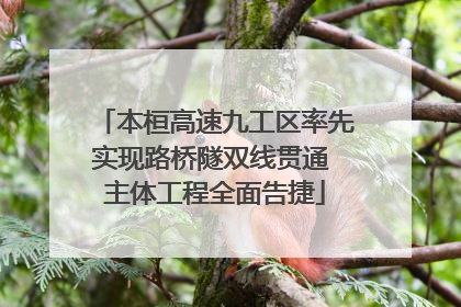 本桓高速九工区率先实现路桥隧双线贯通 主体工程全面告捷