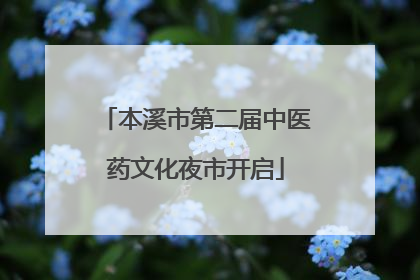 本溪市第二届中医药文化夜市开启