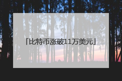 比特币涨破11万美元