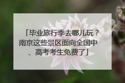 毕业旅行季去哪儿玩？南京这些景区面向全国中、高考考生免费了