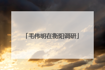 毛伟明在衡阳调研