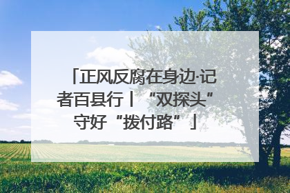 正风反腐在身边·记者百县行丨“双探头”守好“拨付路”