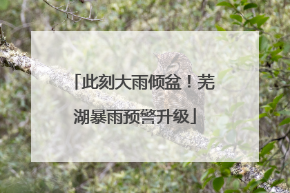 此刻大雨倾盆！芜湖暴雨预警升级