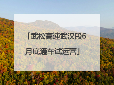 武松高速武汉段6月底通车试运营