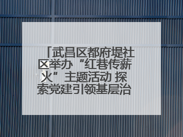 武昌区都府堤社区举办“红巷传薪火”主题活动 探索党建引领基层治理新路径