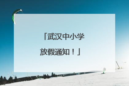 武汉中小学放假通知！