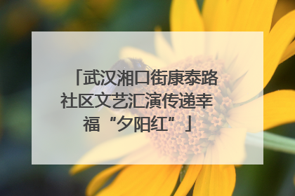 武汉湘口街康泰路社区文艺汇演传递幸福“夕阳红”