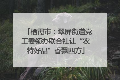 栖霞市：翠屏街道党工委领办联合社让“农特好品”香飘四方