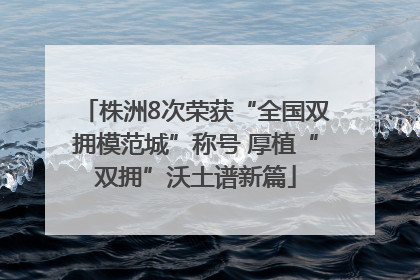 株洲8次荣获“全国双拥模范城”称号 厚植“双拥”沃土谱新篇