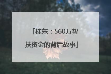 桂东：560万帮扶资金的背后故事