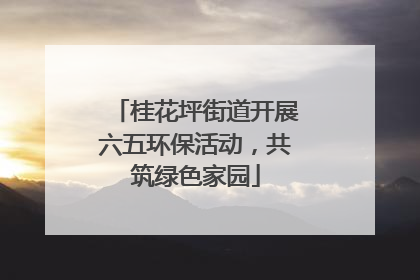 桂花坪街道开展六五环保活动，共筑绿色家园