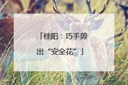 桂阳：巧手剪出“安全花”