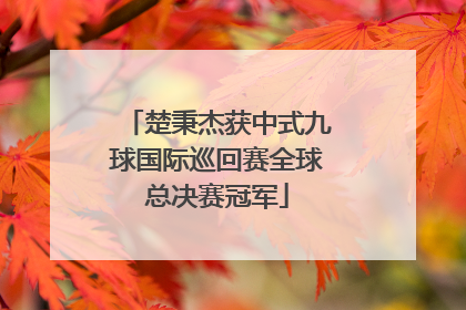 楚秉杰获中式九球国际巡回赛全球总决赛冠军