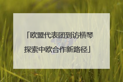 欧盟代表团到访横琴 探索中欧合作新路径