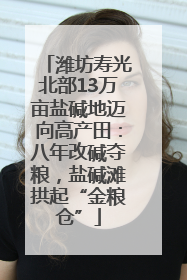潍坊寿光北部13万亩盐碱地迈向高产田：八年改碱夺粮，盐碱滩拱起“金粮仓”