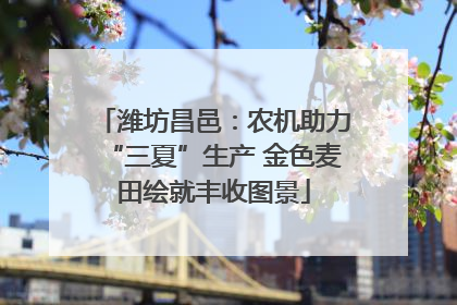 潍坊昌邑：农机助力“三夏”生产 金色麦田绘就丰收图景