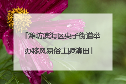 潍坊滨海区央子街道举办移风易俗主题演出