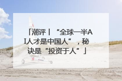潮评丨“全球一半AI人才是中国人”，秘诀是“投资于人”