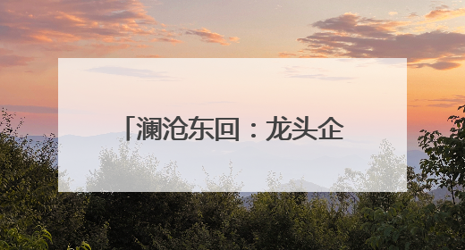 澜沧东回：龙头企业引领促民增收