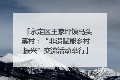 永定区王家坪镇马头溪村：“非遗赋能乡村振兴”交流活动举行