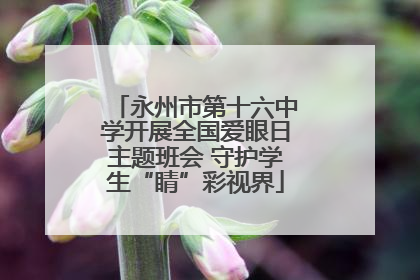 永州市第十六中学开展全国爱眼日主题班会 守护学生“睛”彩视界