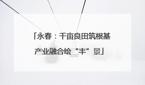 永春：千亩良田筑根基 产业融合绘“丰”景