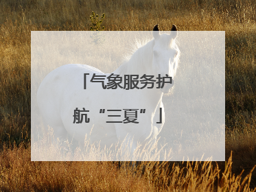 气象服务护航“三夏”