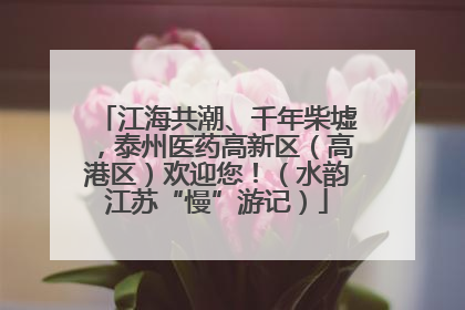 江海共潮、千年柴墟，泰州医药高新区（高港区）欢迎您！（水韵江苏“慢”游记）