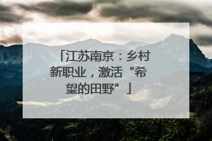 江苏南京：乡村新职业，激活“希望的田野”