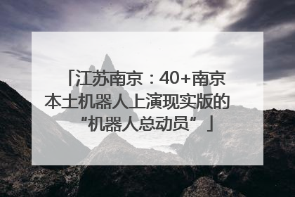江苏南京：40+南京本土机器人上演现实版的“机器人总动员”