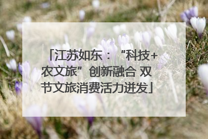 江苏如东：“科技+农文旅”创新融合 双节文旅消费活力迸发