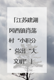 江苏建湖冈西镇肖荡村“小积分”兑出“大文明”
