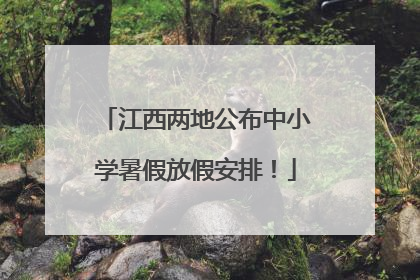 江西两地公布中小学暑假放假安排！