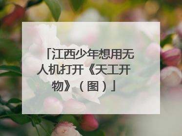 江西少年想用无人机打开《天工开物》（图）
