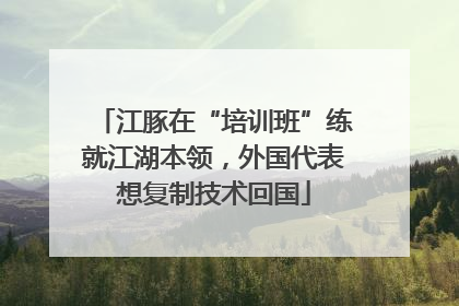 江豚在“培训班”练就江湖本领，外国代表想复制技术回国