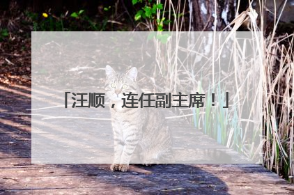 汪顺，连任副主席！