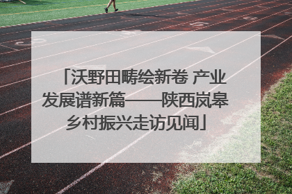 沃野田畴绘新卷 产业发展谱新篇——陕西岚皋乡村振兴走访见闻
