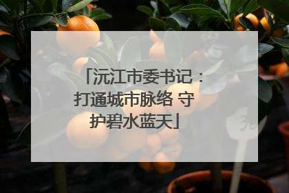 沅江市委书记：打通城市脉络 守护碧水蓝天
