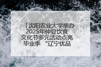 沈阳农业大学举办2025年仲夏饮食文化节多元活动点亮毕业季 “辽宁优品”进校园首站启动
