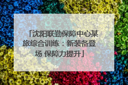 沈阳联勤保障中心某旅综合训练：新装备登场 保障力提升