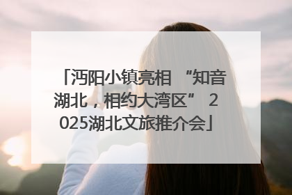 沔阳小镇亮相 “知音湖北，相约大湾区” 2025湖北文旅推介会