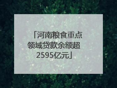 河南粮食重点领域贷款余额超2595亿元