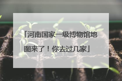 河南国家一级博物馆地图来了！你去过几家