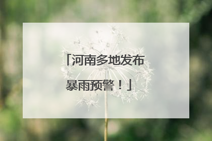 河南多地发布暴雨预警！