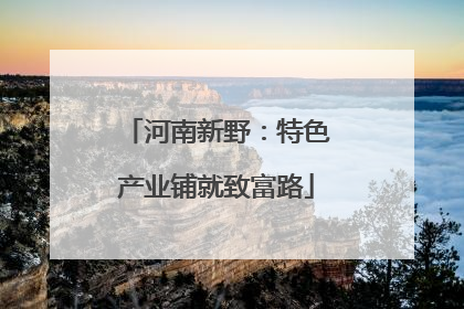 河南新野：特色产业铺就致富路