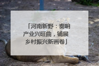 河南新野：奏响产业兴旺曲，铺展乡村振兴新画卷