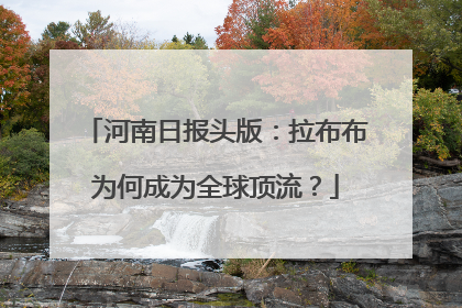 河南日报头版：拉布布为何成为全球顶流？